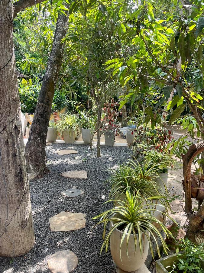 فندق Jungle Escape Hiriketiya ديكويلاّ تين المظهر الخارجي الصورة